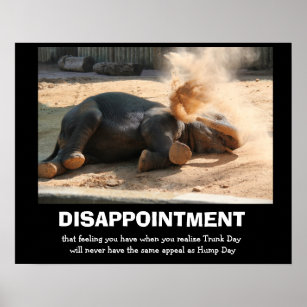 Funny Elephant, DISAPPOINTMENT (nicht Höckentag) Poster