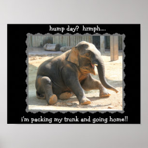 Funny Elephant Hump Day Poster (hrmph!!)