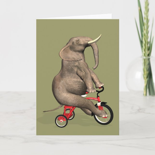 Funny Elephant Riding A Karte (Vorderseite)