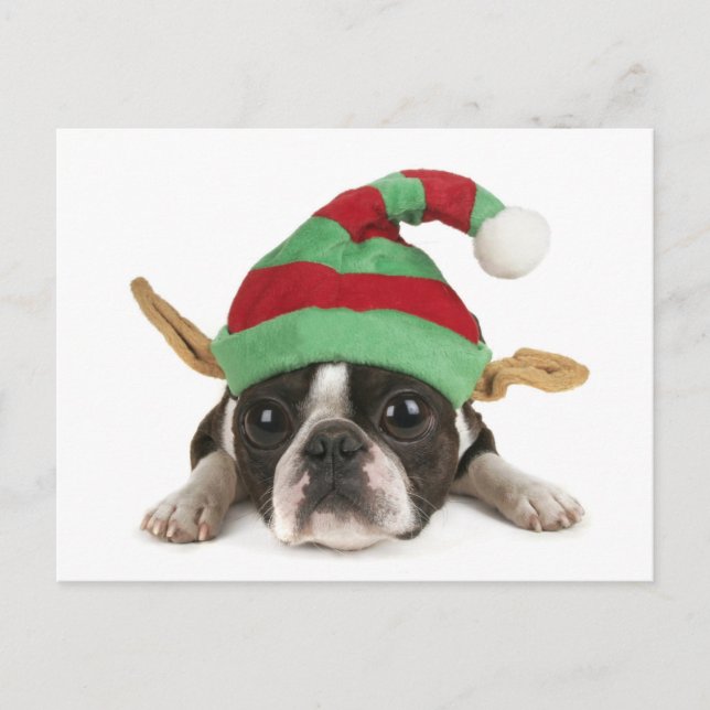 Funny Elf Postcard Feiertagspostkarte (Vorderseite)