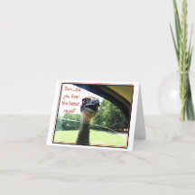 Funny Emu Neueste Nachrichten-Klatschkarte