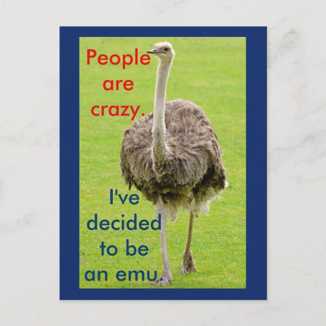 Funny Emu Postcard Postkarte (Vorderseite)