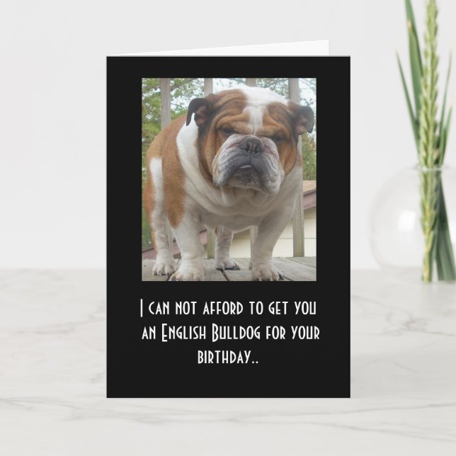 Funny English Bulldog Birthday Card Karte (Vorderseite)
