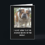 Funny English Bulldog Birthday Card Karte<br><div class="desc">Passen Sie dies an oder unterschreiben Sie auf Zuhause!</div>