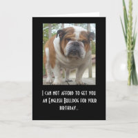 Funny English Bulldog Birthday Card