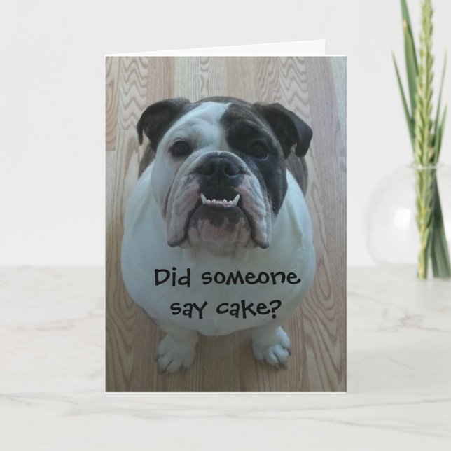 Funny English Bulldog Happy Birthday Card Karte (Vorderseite)