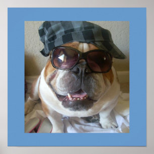 Funny English Bulldog Poster