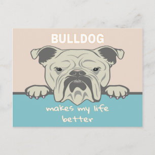 Funny English Bulldog Postkarte