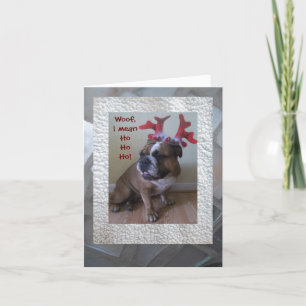 Funny English Bulldog Weihnachtskarte! Feiertagskarte