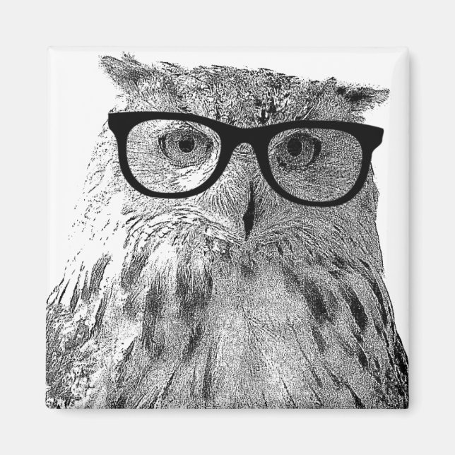 Funny Eule Magnet | Vogel mit Brille (Vorne)