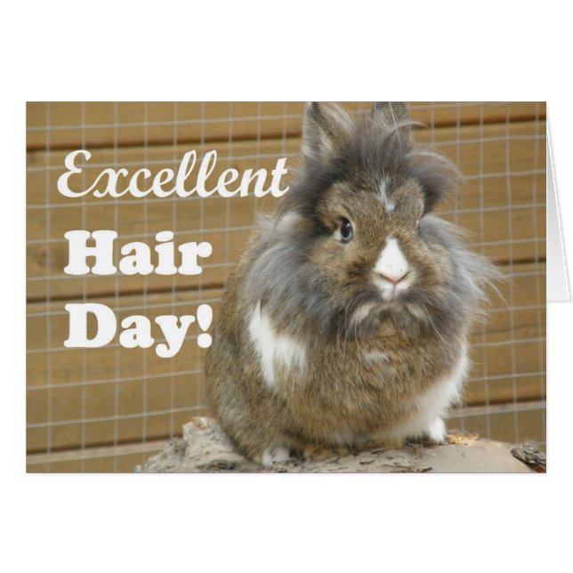 Funny "Excellence Hair Day" für Kaninchen (Vorderseite (Horizontal))