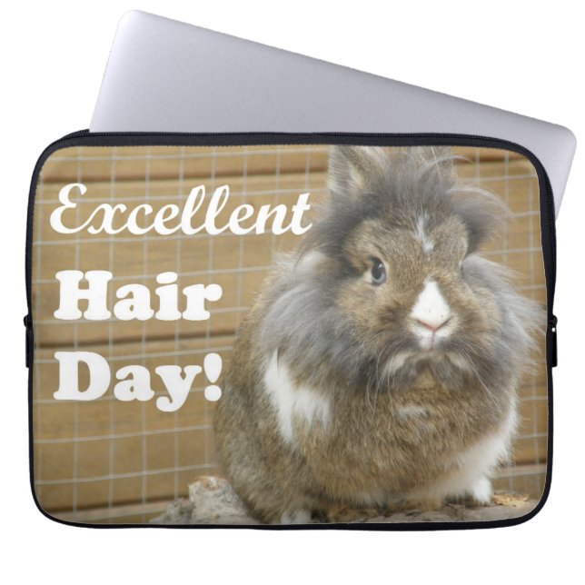 Funny "Excellence Hair Day" für Kaninchen Laptopschutzhülle (Vorderseite)