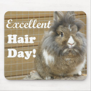 Funny "Excellence Hair Day" für Kaninchen Mousepad