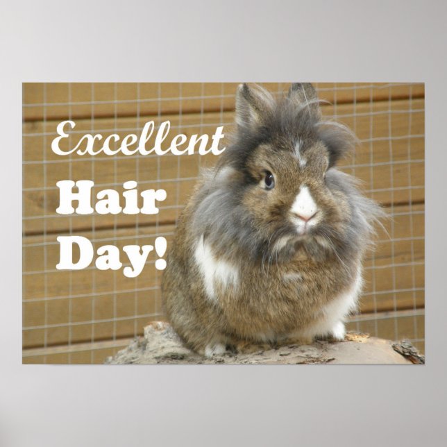 Funny "Excellence Hair Day" für Kaninchen Poster (Vorne)