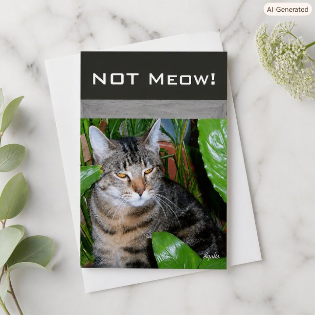 Funny Expression " Not Meow" Cat Note Card Karte (Von Creator hochgeladen)