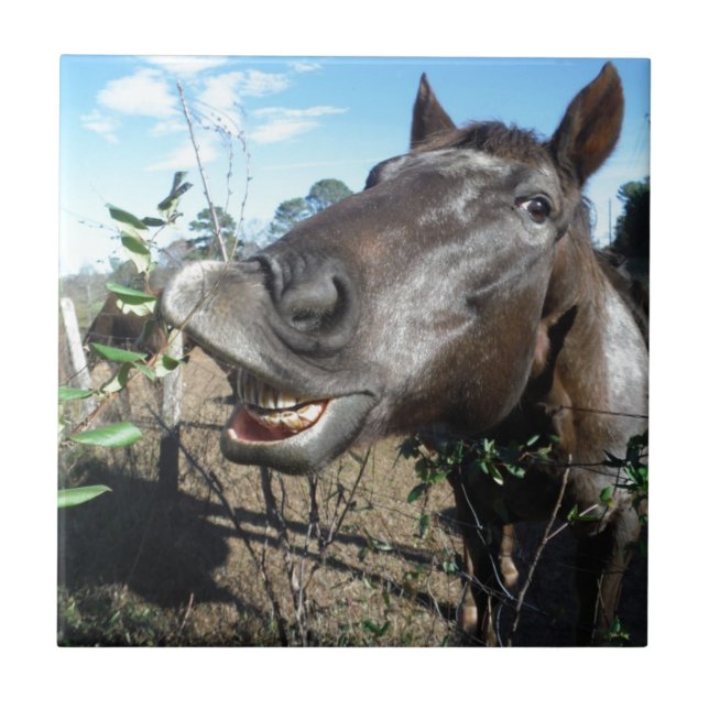 Funny Face braunes Pferd Fliese (Vorderseite)