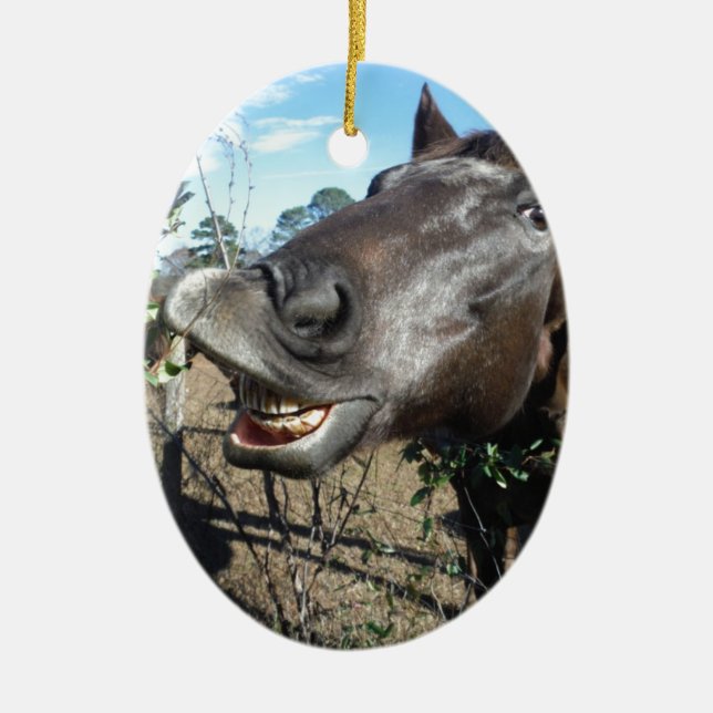 Funny Face braunes Pferd Keramikornament (Vorne)