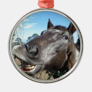 Funny Face braunes Pferd Ornament Aus Metall