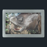 Funny Face braunes Pferd Rechteckige Gürtelschnalle<br><div class="desc">Funny Face braunes Pferd Foto von Sandy Closs Anpassen Sie mit Ihrem eigenen Text,  um eine von einer Art Geschenk zu schaffen. "Geschenke für Pferdeliebhaber""i-Liebe-Pferde""Pferdebörse""Braunpferd""Pferde,  Pferde,  "Pferdegeschenke""Bauerntiere,  Pony,  Ponys""Pferdefreunde""Pferdeliebhaber"</div>