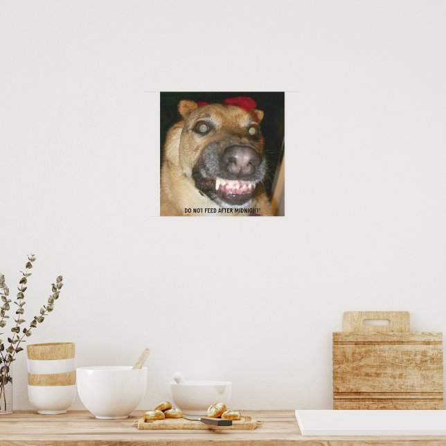 Funny Face GSD Hund nicht nach Mitternacht Gefütte Poster (Küche)