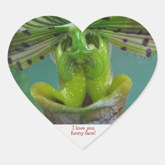 Funny Face Slipper Orchid Heftsticker Herz-Aufkleber (Vorderseite)