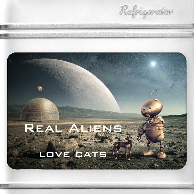 Funny Fantasy Crazy Cat Alien Magnet (Funny space magnet featuring an image of a strange planet with a cute kitty talking to an alien.)