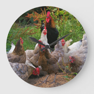 Funny Farmyard Chickens Hens & Rooster Clock Große Wanduhr