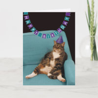 Funny Fat Cat Lila Happy Birthday
