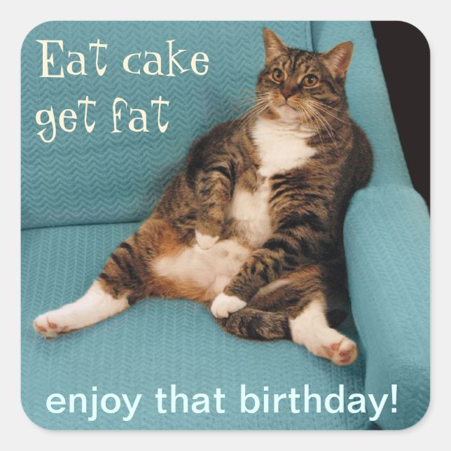 Funny Fat Tabby Cat essen Cake Fett Fett Quadratischer Aufkleber (Vorderseite)