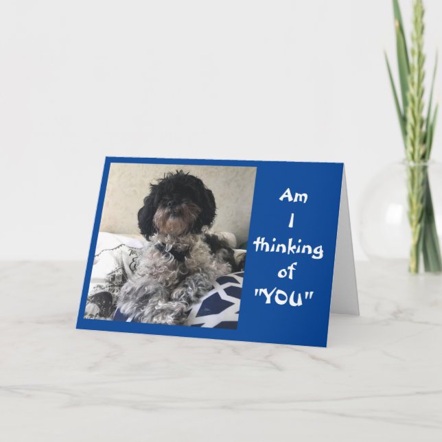 ***FUNNY FEED BESSER BALD*** CARD KARTE (Vorderseite)