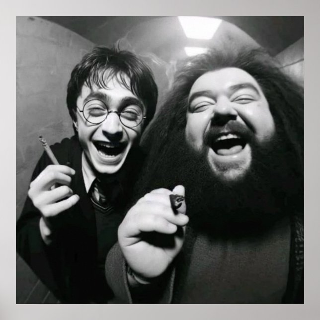 Funny Film BW Poster (Vorne)