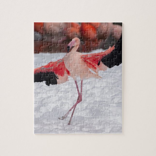 Funny Flamingo tanzt Flamenco Puzzle (Vertikal)