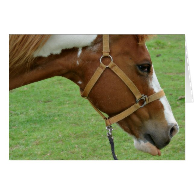 Funny Flashy Horse (Vorderseite (Horizontal))