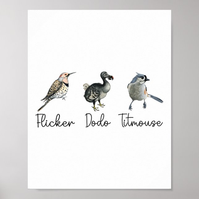 Funny Flicker Dodo Titmouse Poster (Vorne)