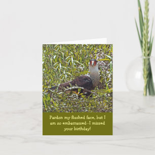 FUNNY FLUSHED FACED BIRD/BELATED BIRTHDAY CARD KARTE