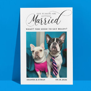 Funny Foto Dog-Themed Wedding Save The Date