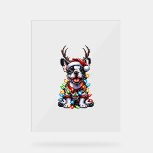 Funny French Bulldog Christmas Light Weihnachtsman Acrylschild