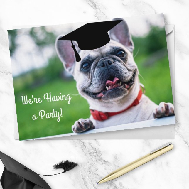 Funny French BullDog Foto Graduation Party Einladung (Von Creator hochgeladen)