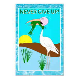 Funny Frog Choice Bird Inspiration Poster