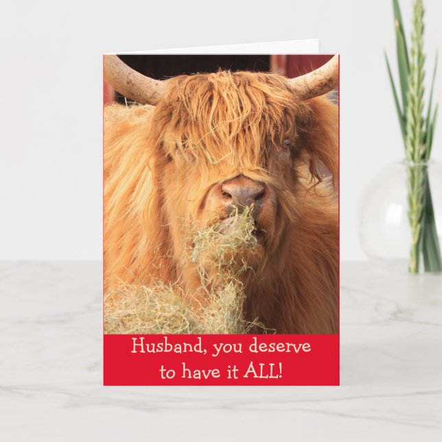 Funny für Husband Scottish Steer Birthday Karte (Vorderseite)