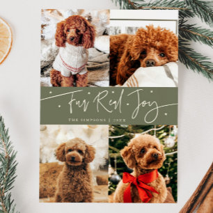 Funny Fur Real Jog Dog Foto Sage Grün Weihnachten