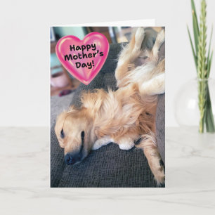 Funny Furry Golden Retriever Muttertag Karte