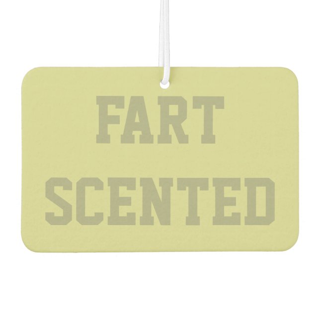 Funny Gag Gift Air Freshener  Autolufterfrischer (Vorderseite)