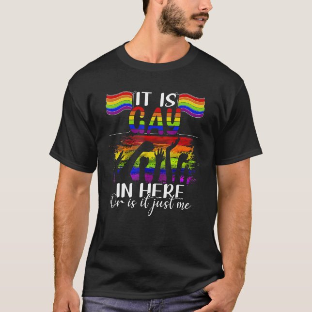 Funny Gay Shirts für Herren Pride Rainbow Geschenk (Vorderseite)