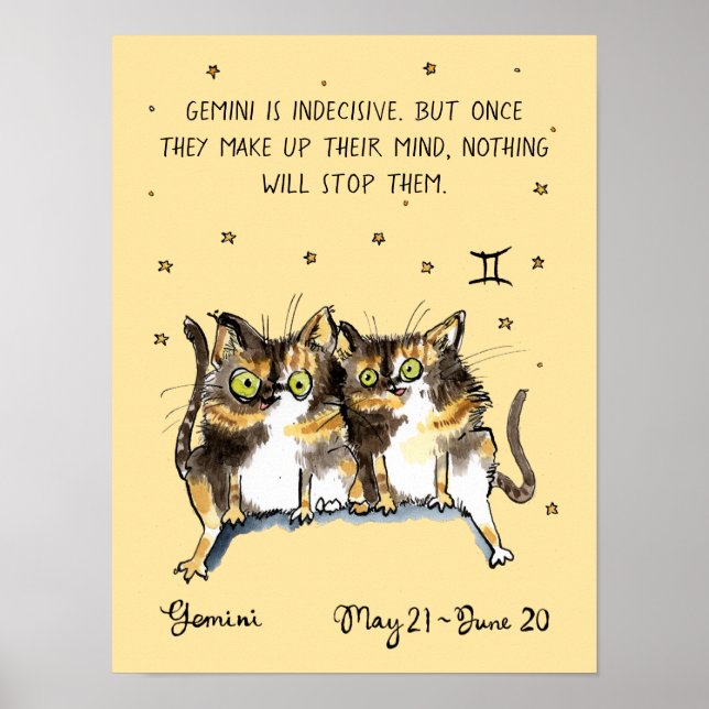 Funny Gemini Poster Zodiac Cat Star Schild Plakat (Vorne)