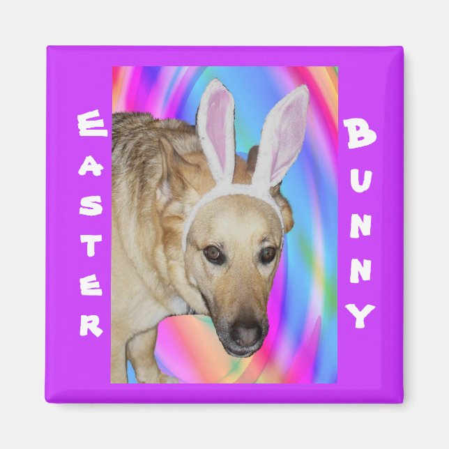 Funny German Shepherd Dog & Ostersonnige Ohren Magnet (Vorne)