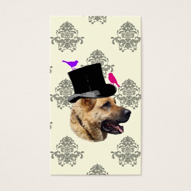 Funny German shepherdog (Vorderseite)