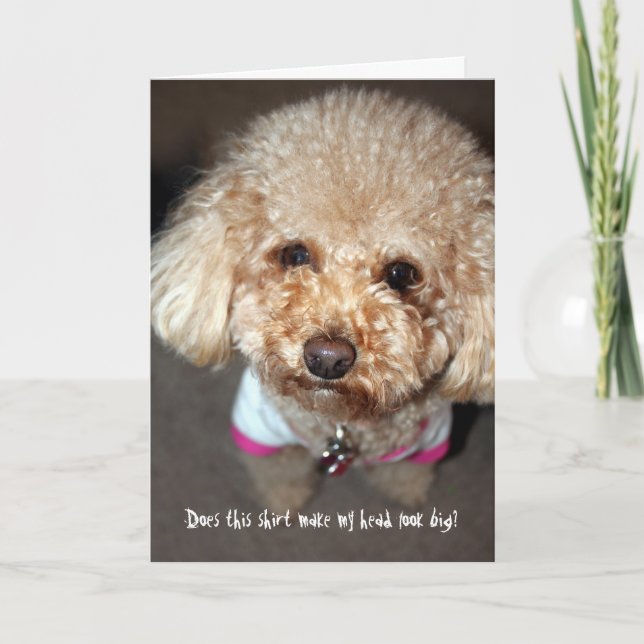 Funny get well Card Karte (Vorderseite)