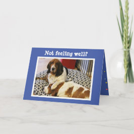 Funny "Get Well" Card mit Niedlichen Basset Hounds Karte