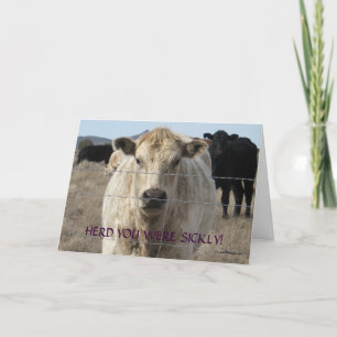 Funny Get Well - Cute White Cow - Ranch or Farm Karte